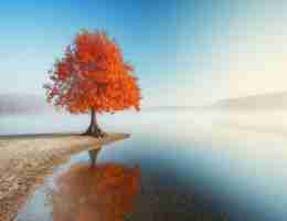 接​口‌自‍动‌化‍框‌架‍搭​建‌